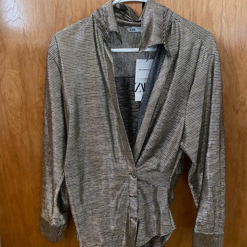 Zara metallic blouse